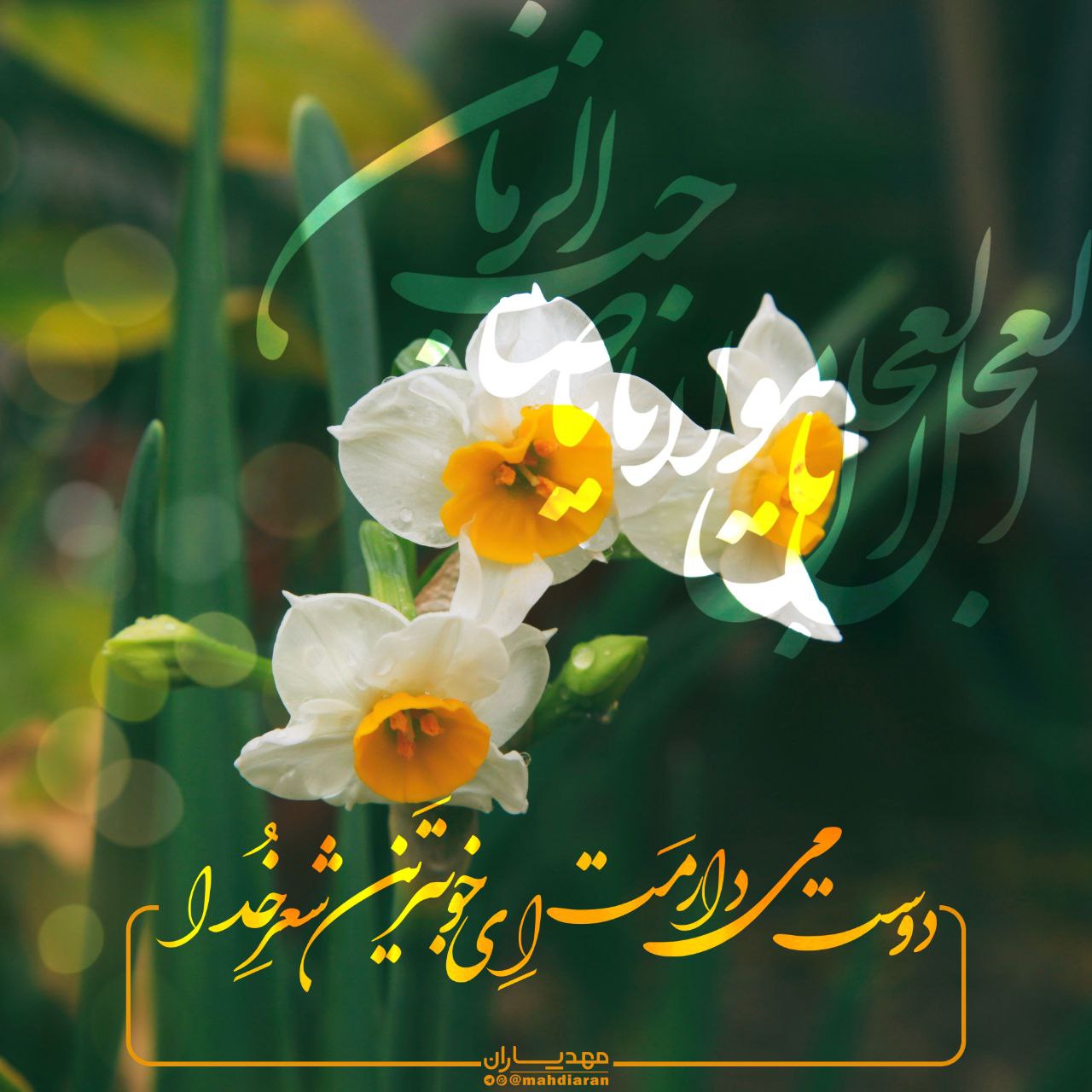 خوبترین شعر خدا